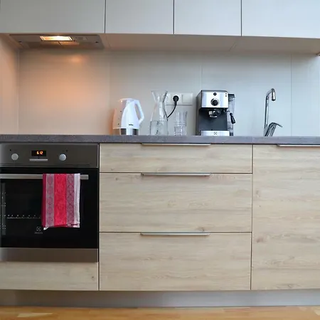 Appartamento Mansard In - Kraslavas Street *