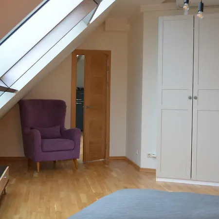 Mansard In - Kraslavas Street 아파트 리가